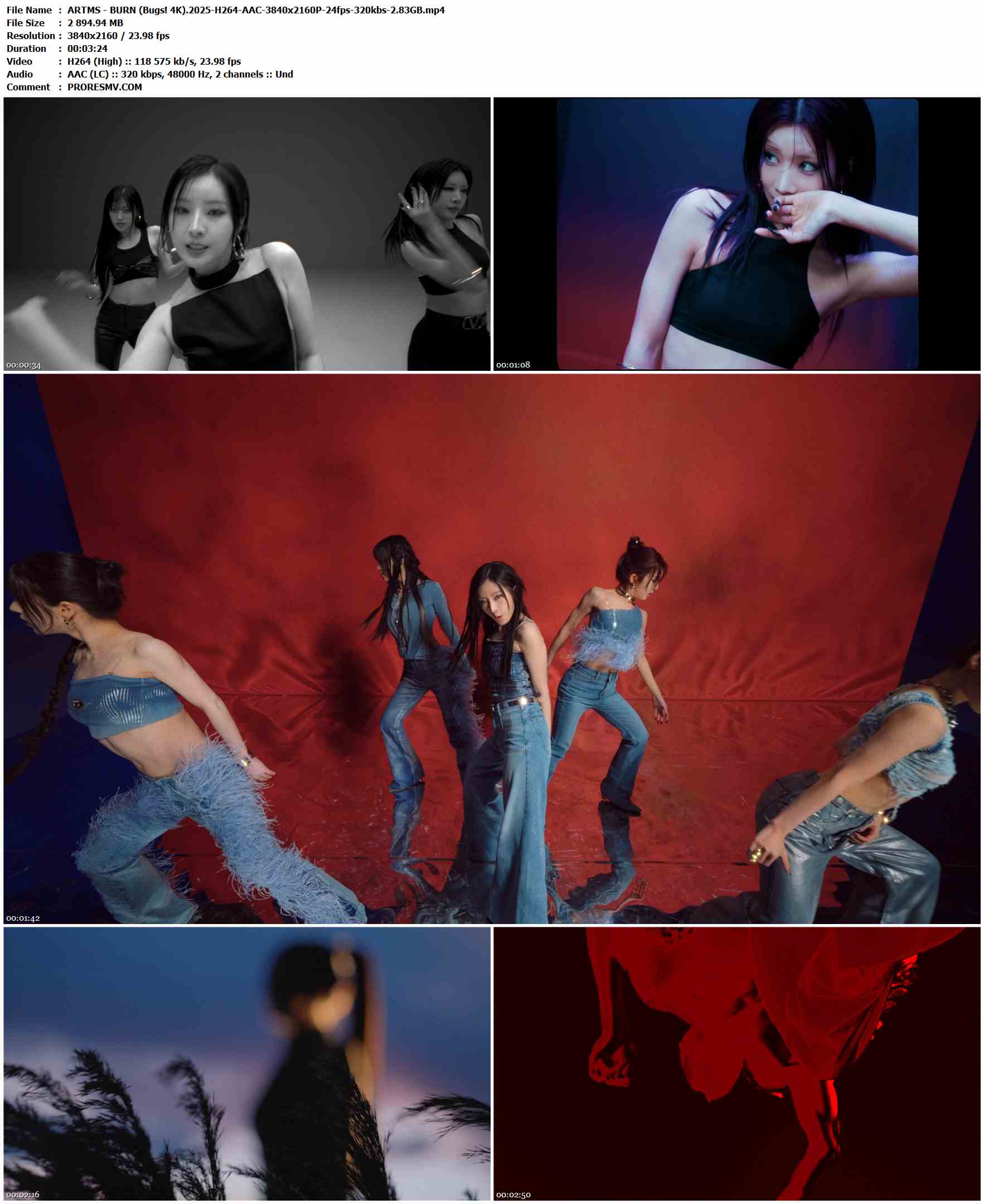 ARTMS - BURN (Bugs! 4K).2025-H264-AAC-3840x2160P-24fps-320kbs-2.83GB官方MV_高清MV